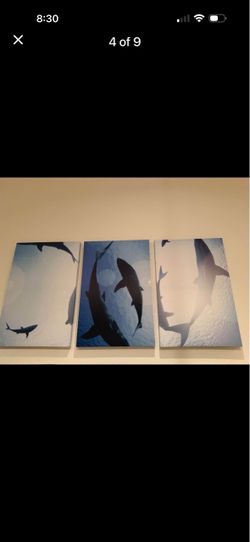 Wall canvas art set of 3 shark theme