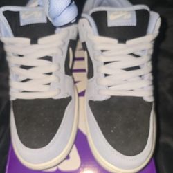 sb dunk aluminum 9