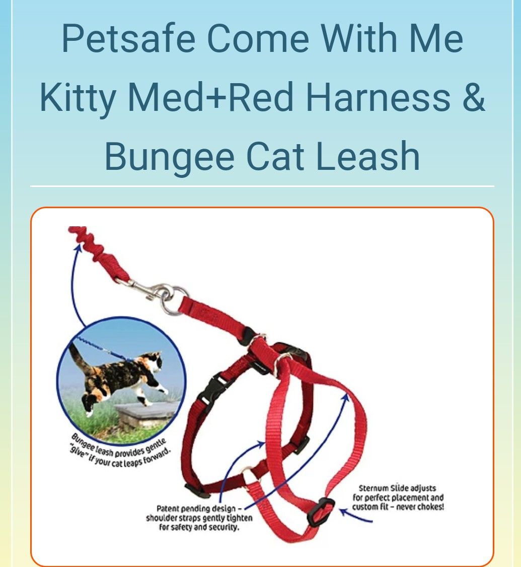Come with me Kitty Bungee Leash & Collar