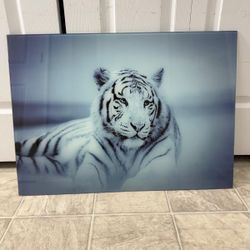 beautiful brand new tempered glass wall art. (MUST SELL TODAY)