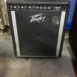 Peavy Combo Speaker