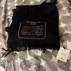 Cashmere Scarf