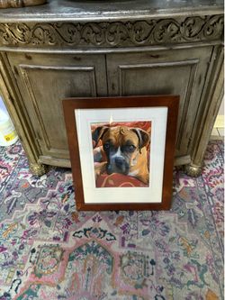 Adorable dog picture