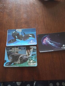 3 Sea World Tickets