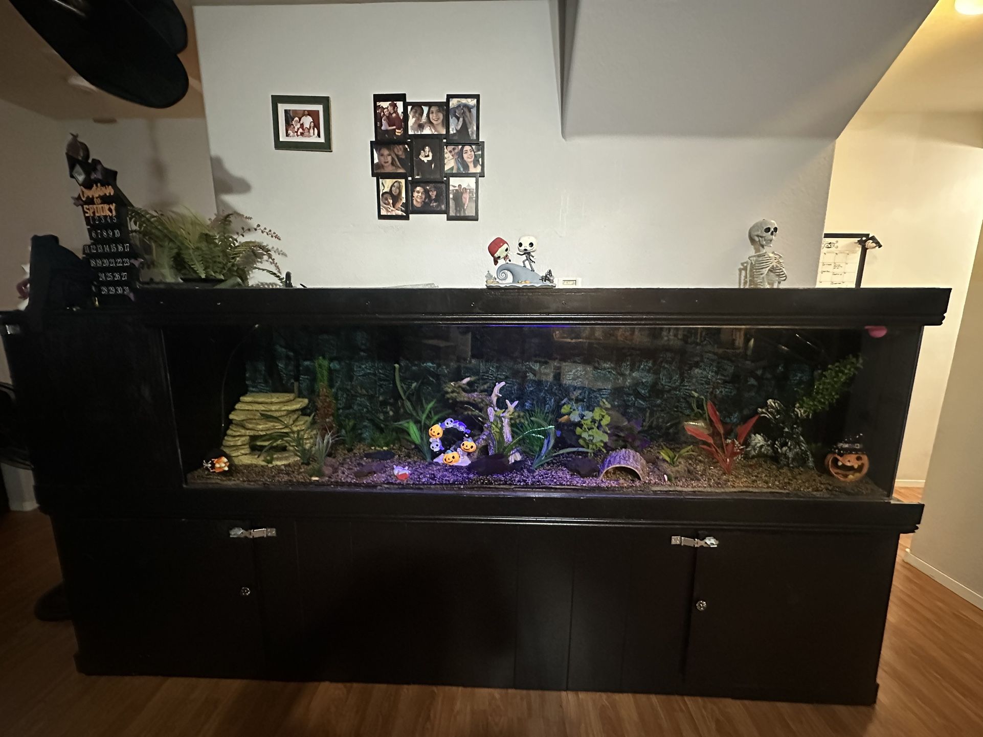 Fish tank