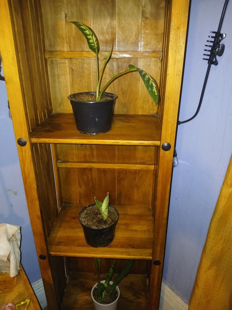 Oak Wood Side Dresser/stand
