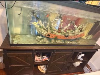 Used fish tank 50 or 55