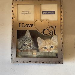 Silver Picture Frame For Your 🐈‍⬛ Cat !!!