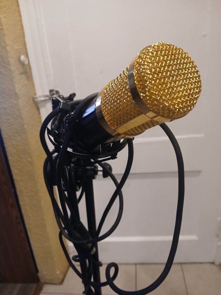 Microphone