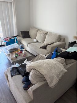 Living room sofa and coffee table