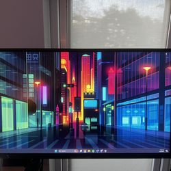 SCEPTRE 24” Gaming Monitor with built in speakers