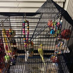 bird cage