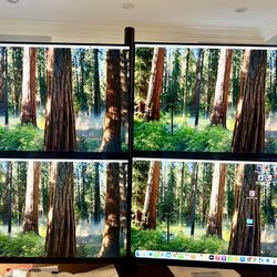 Monitors And Mounting Rack 