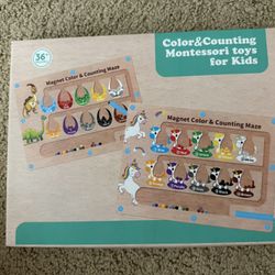 Magnet Color & Counting  Maze