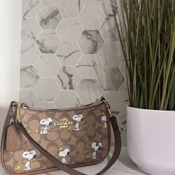 Inspired coach bag  