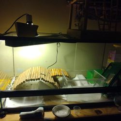 Reptile Tank And Supplies 