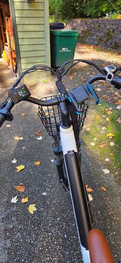 Electric Bike with Front Basket and Display