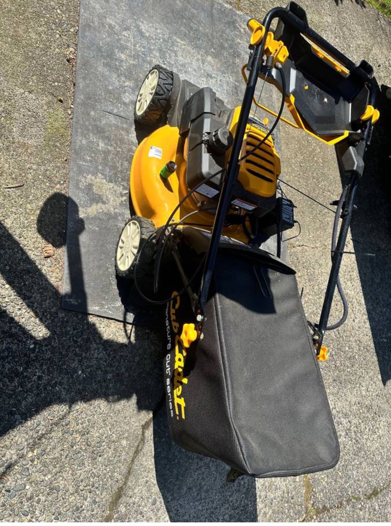 Cub Cadet Signature Cut SC300 Self-Propelled Mower