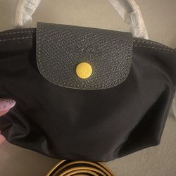 Mini Longchamp