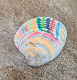 Hand painted sea shell