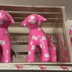 Vs Pink Bus Dog 