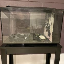 Fluval Evo 13.5 Aquarium, With Black Stand 