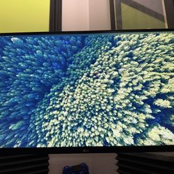 LG 27 Ultrafine 4K UHD (3840x2160) IPS Computer Monitor