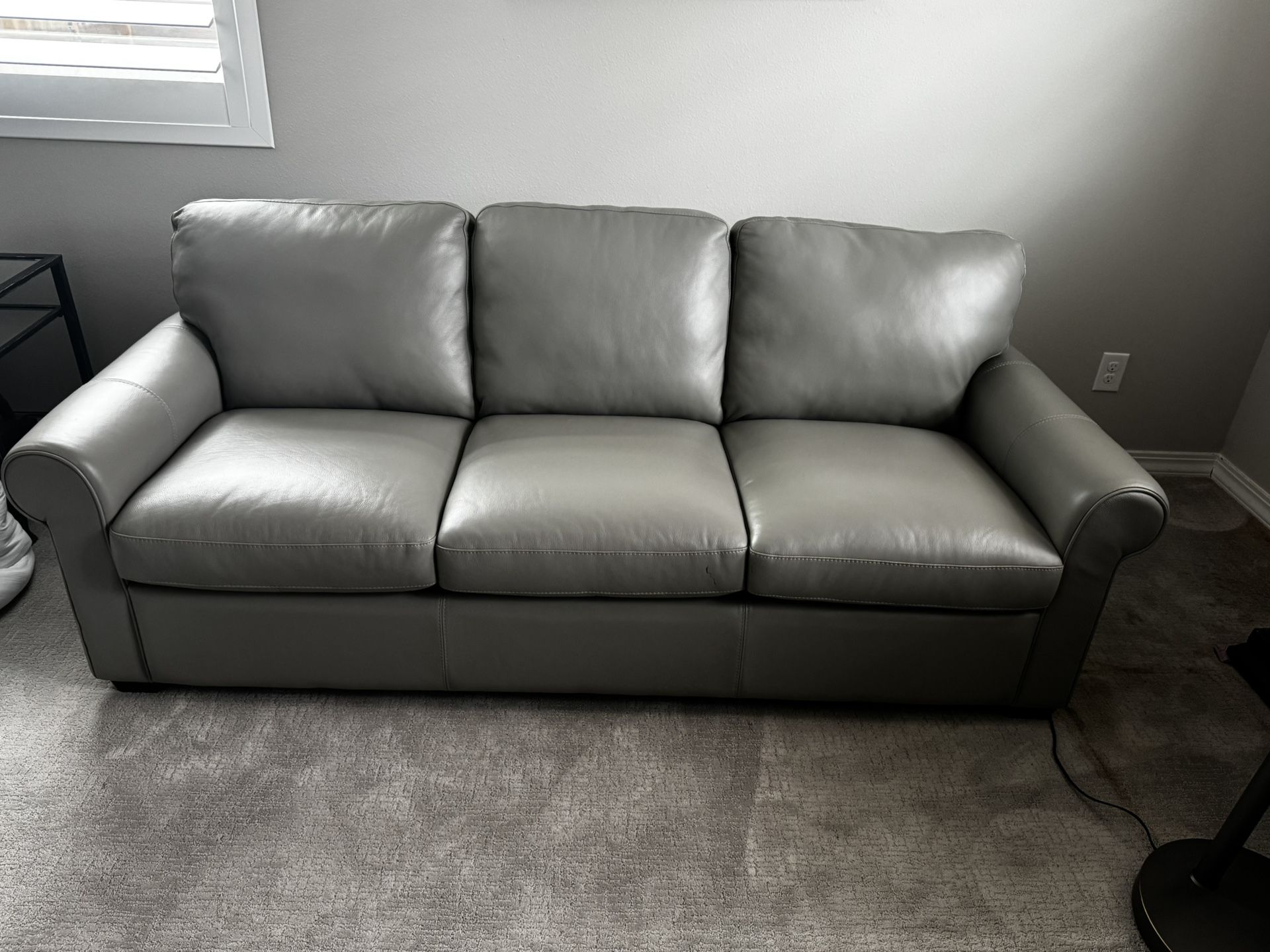 Leather Sofa Sleeper