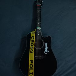 Takamine Gd30 12 string guitar