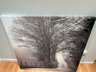 Wall Art Tree Forest Dark