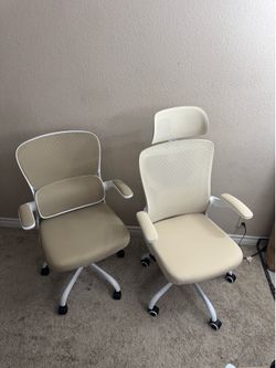 Ergonomic Office Chairs