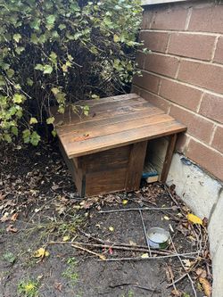 Cat House For Outside 