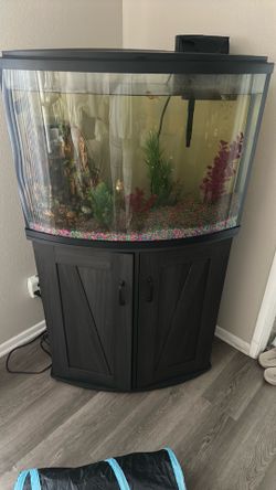Fish tank