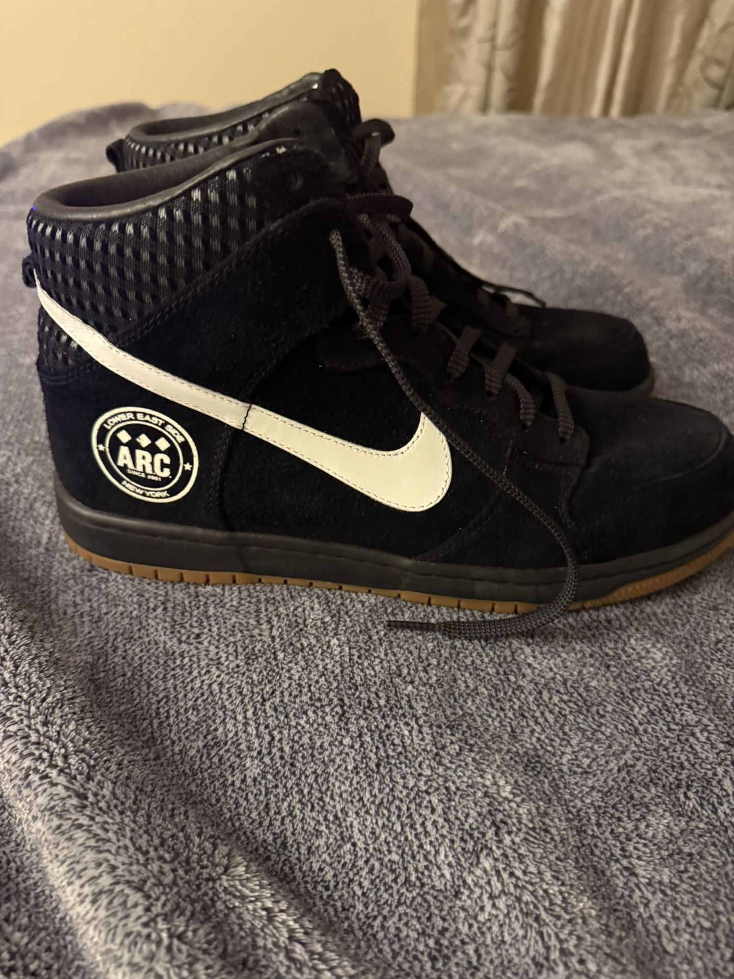 Nike Supreme Hi Dunk Alife ARC