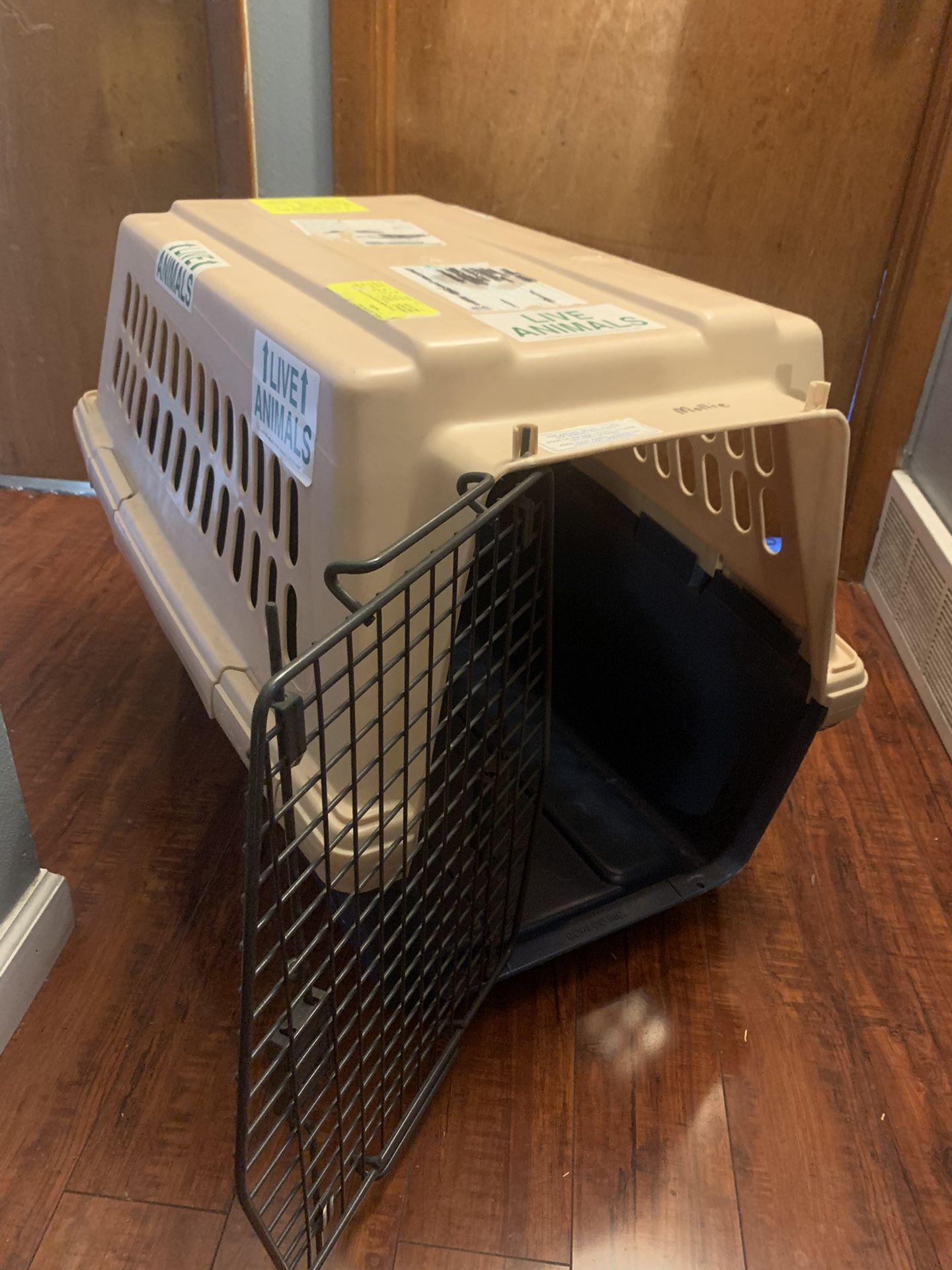 Large animal kennel