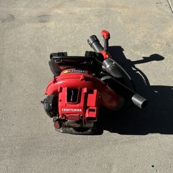 Craftsman BPS10 Leaf Blower