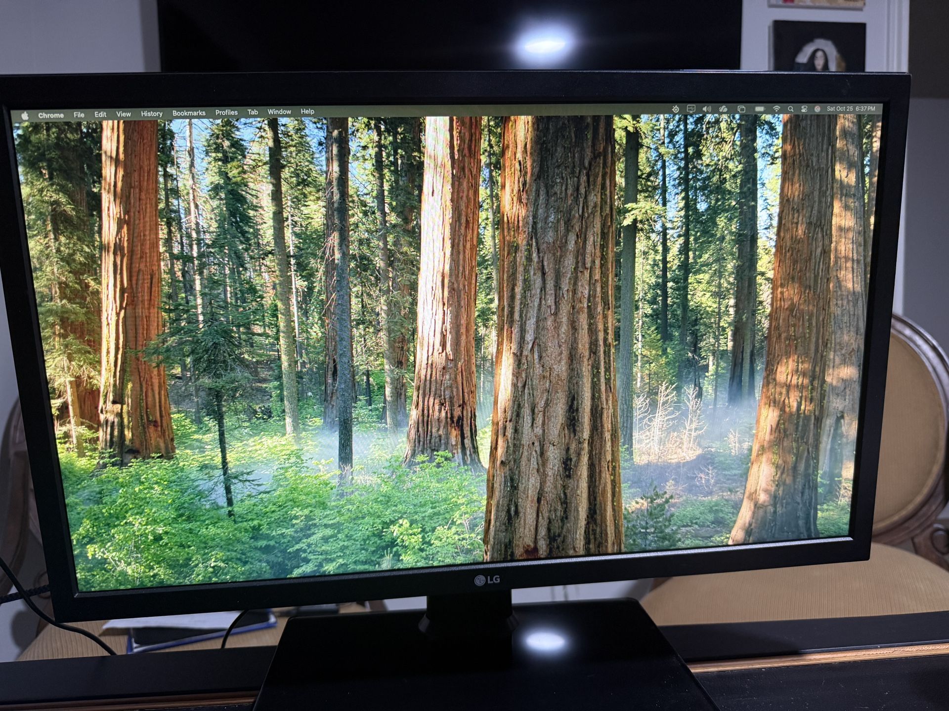 24” LG Gaming | Computer Monitor