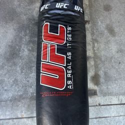 UFC Punching & Training Bag