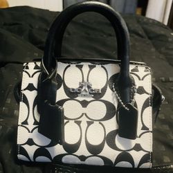 Mini Coach Purse 