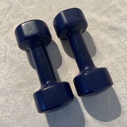DUMBBELL 6 LBS EACH ~ BARELY USED ~ EXCELLENT CONDITION 