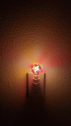 Beautiful Hand-painted Nightlight
