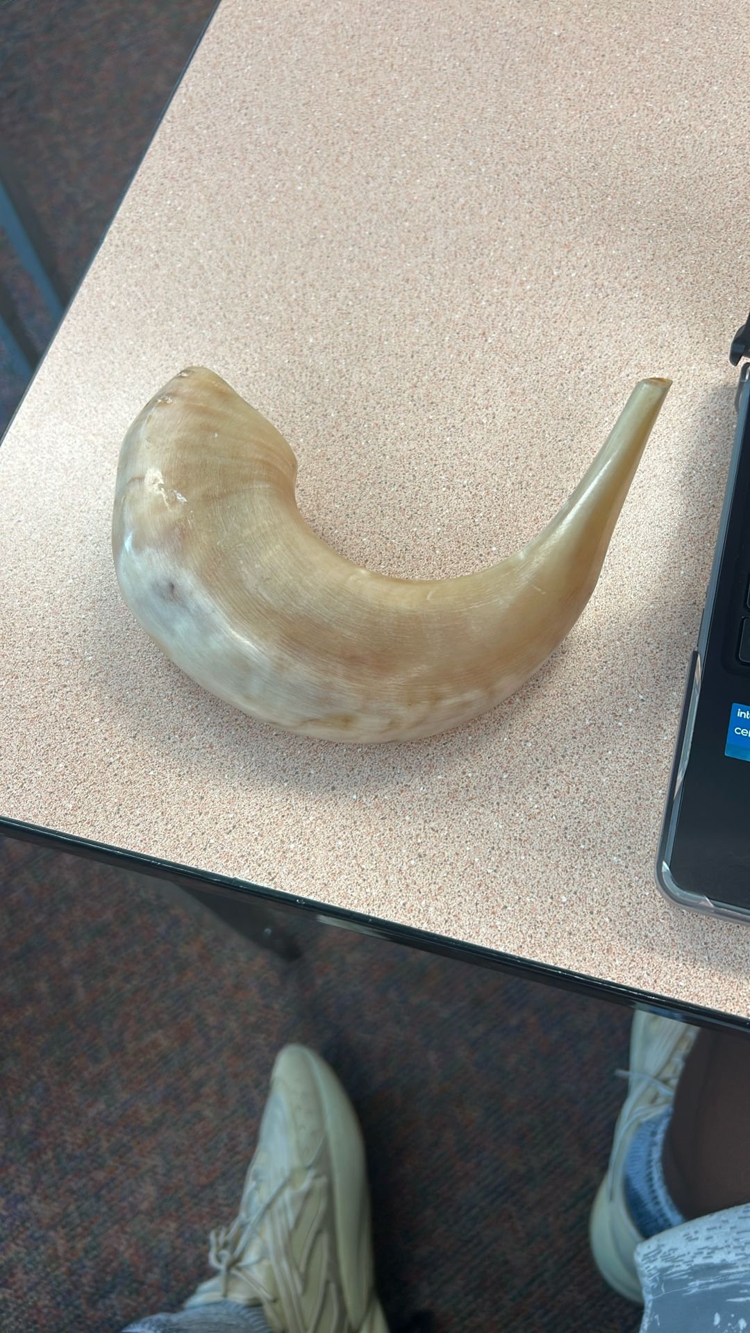 Old Medival Horn