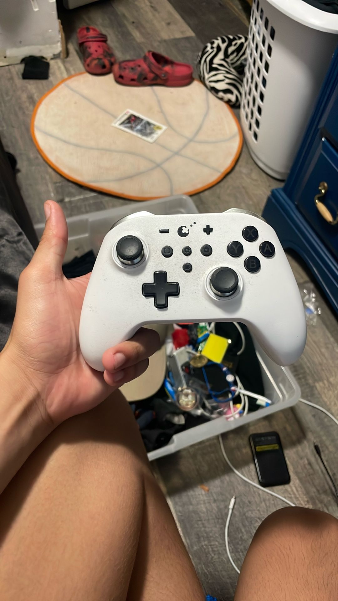 Nintendo switch pro controller