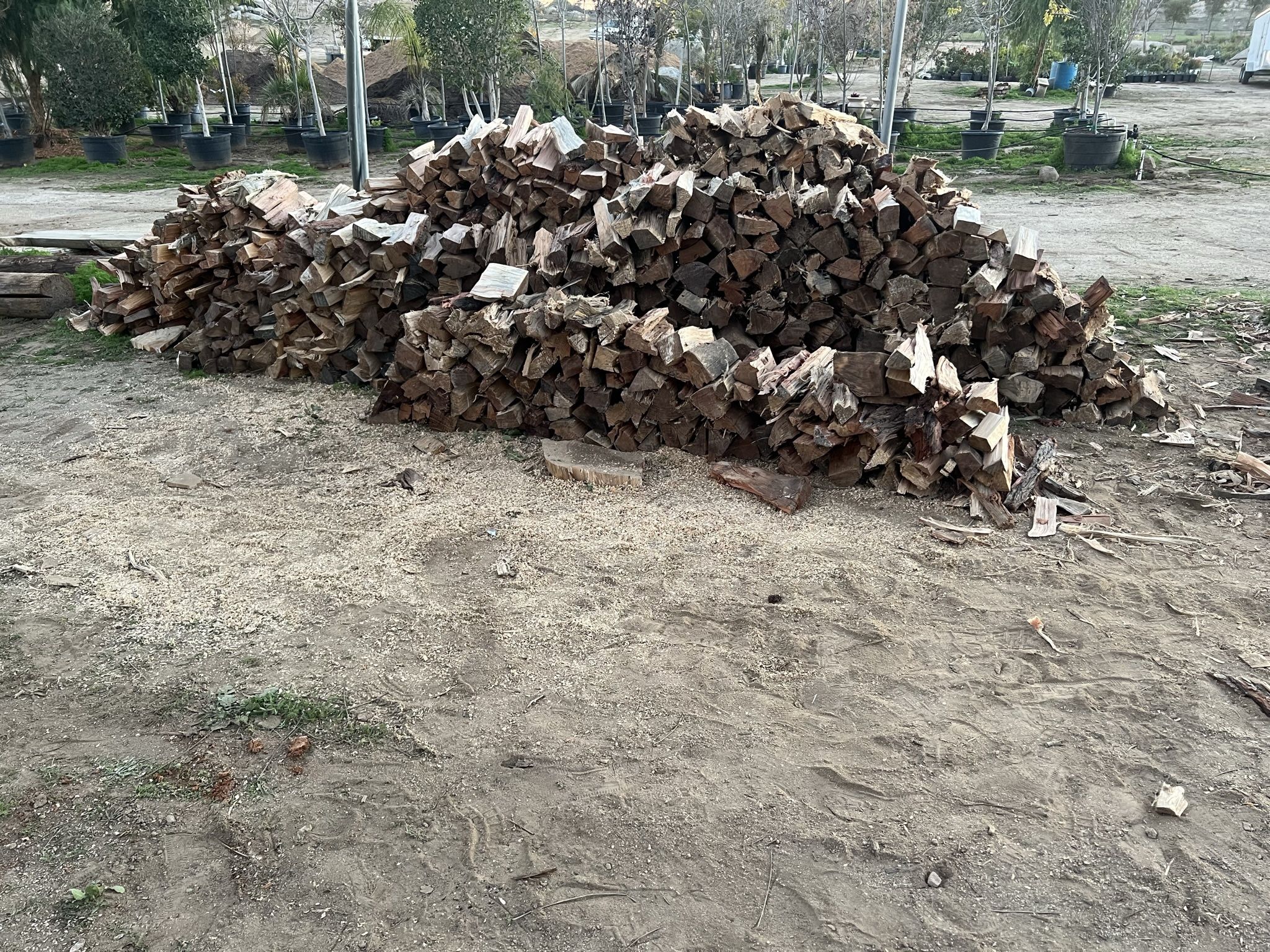 Firewood 