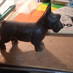 Schnauzer bank