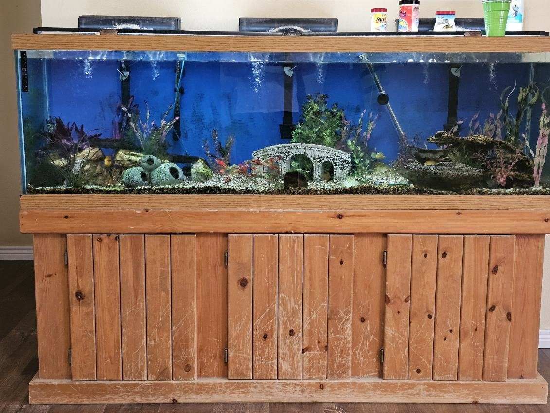 120 Gallon Fishtank