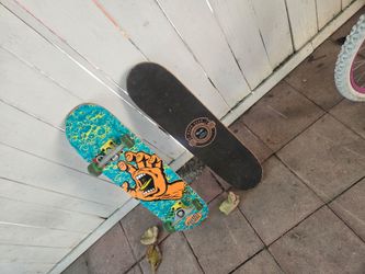 Santa Cruz Screaming Hand Complete Skateboard
