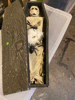 Halloween mummy in coffin with spiders