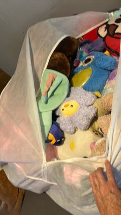 100 peluches