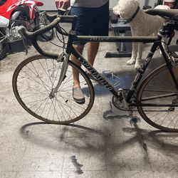 Specialized  Allez Race Bike